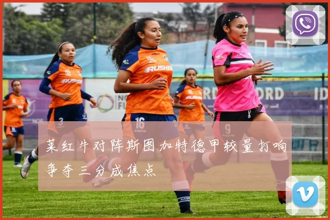 莱红牛对阵斯图加特德甲较量打响争夺三分成焦点
